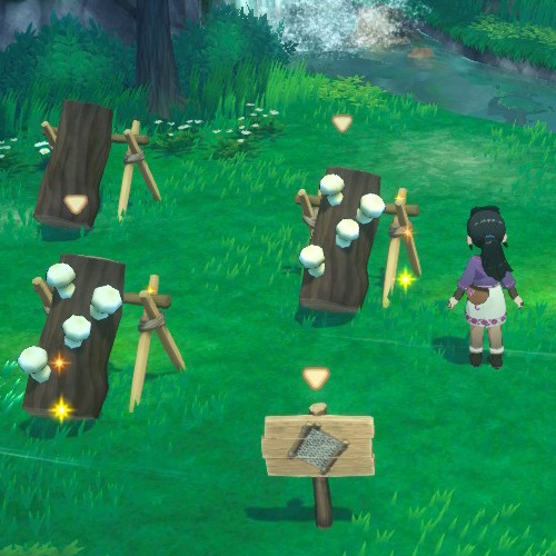 Mushroom Log Cultivation