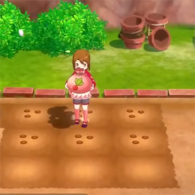 sosgb-planting-radish-seeds-preview