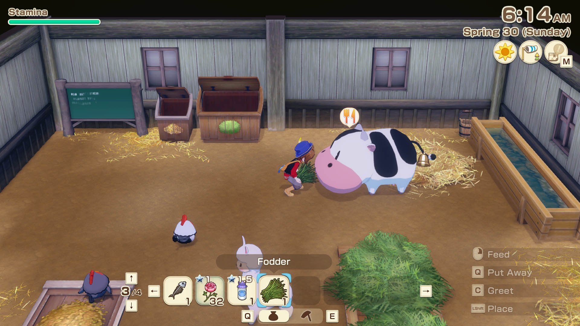 Hand-feeding a cow in the barn