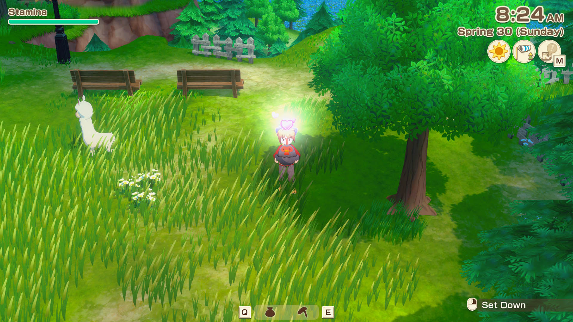 Holding a silkie chicken