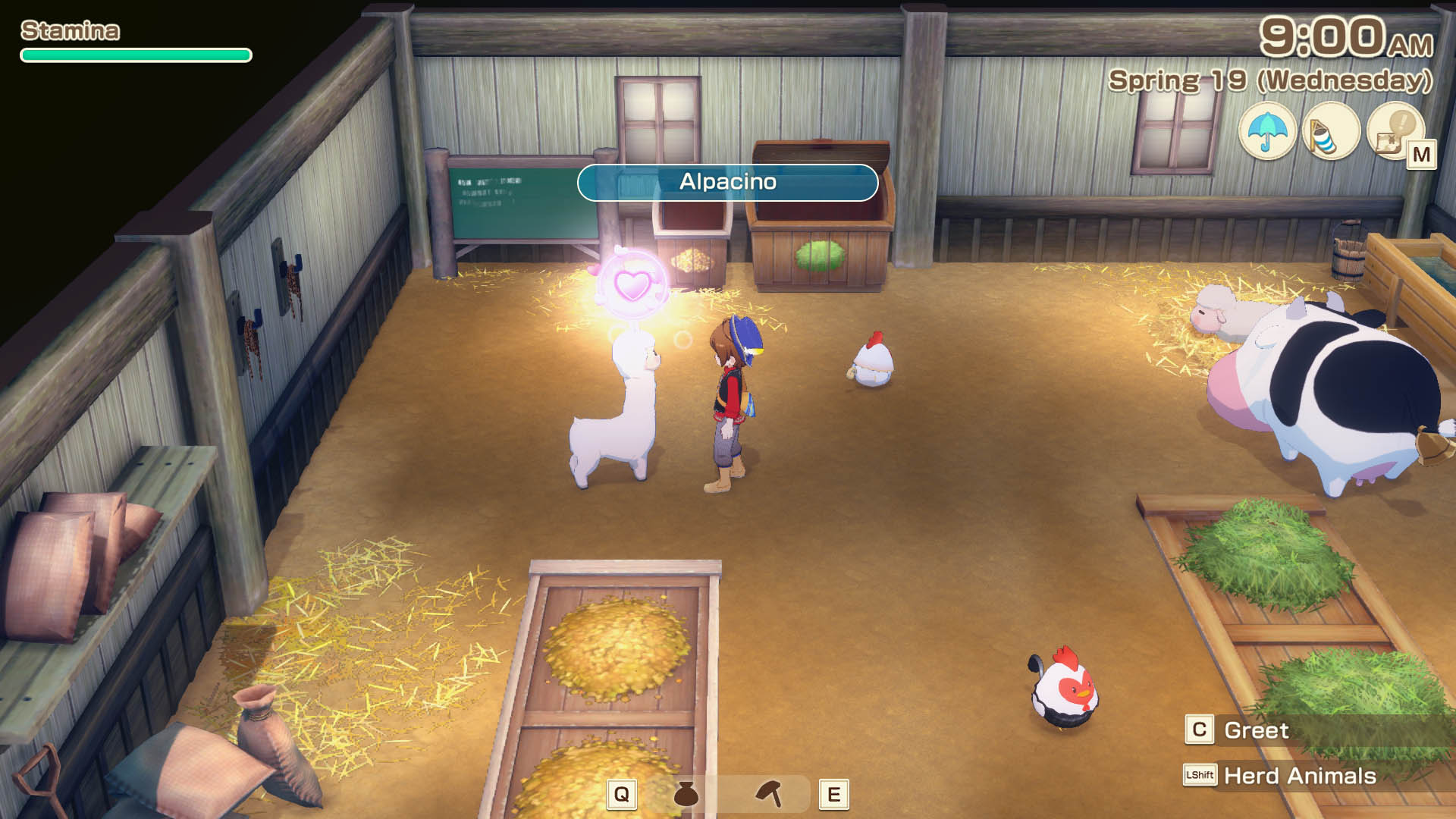 Friendship with alpaca increases after petting