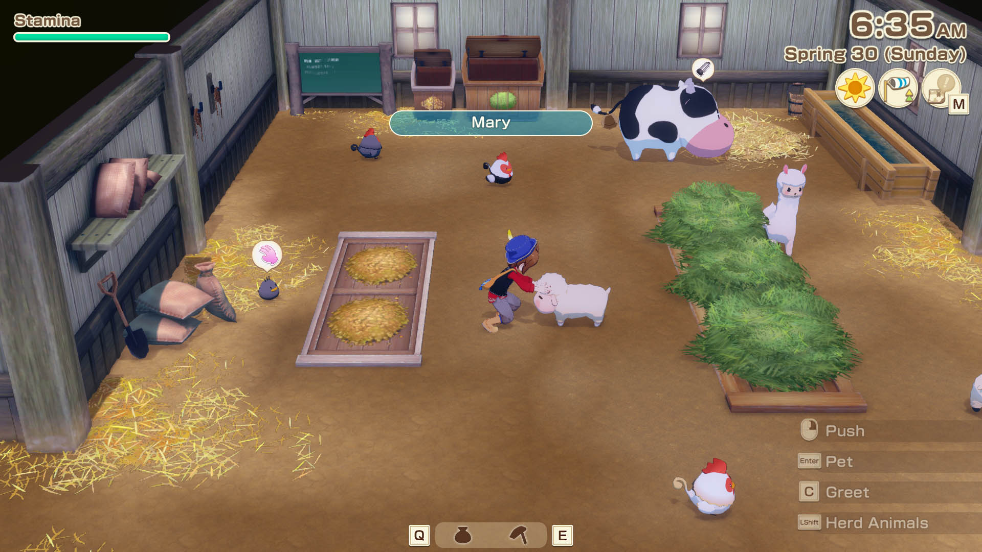 Petting a sheep in the barn