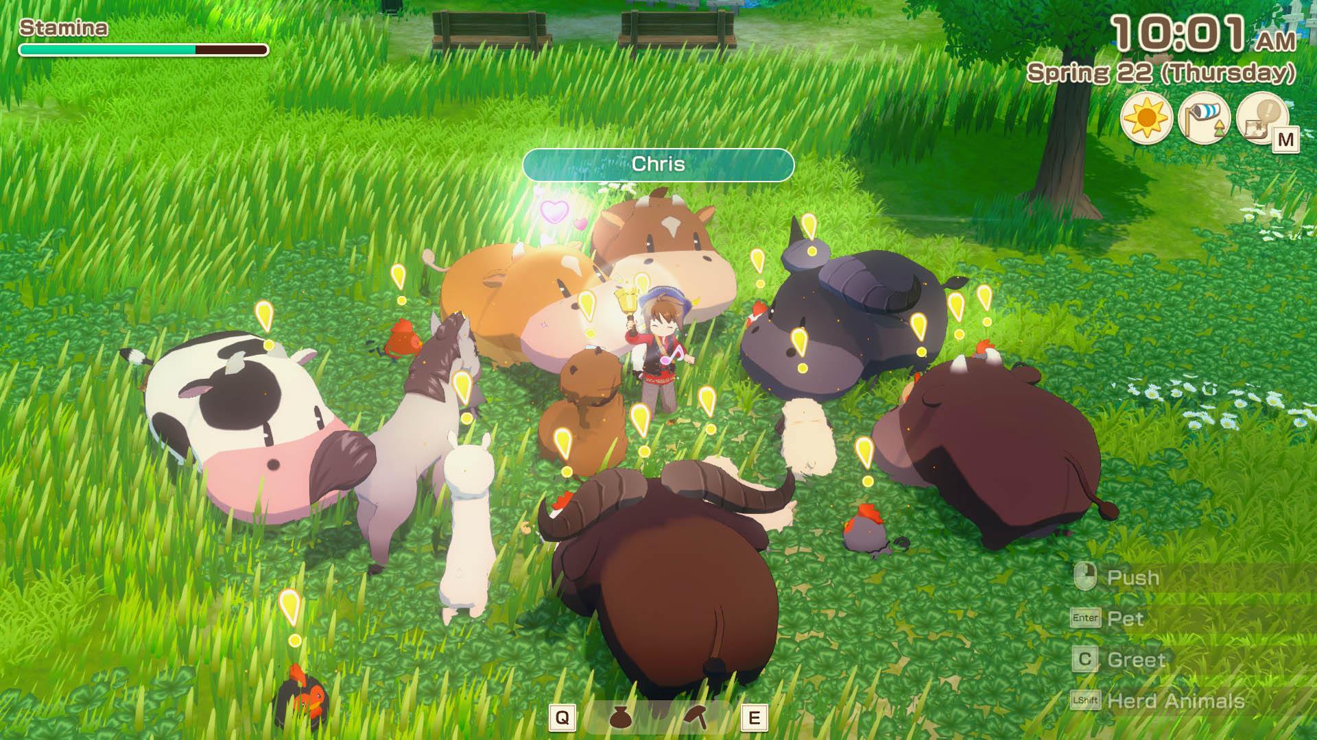 Animals coming as you ring the bell