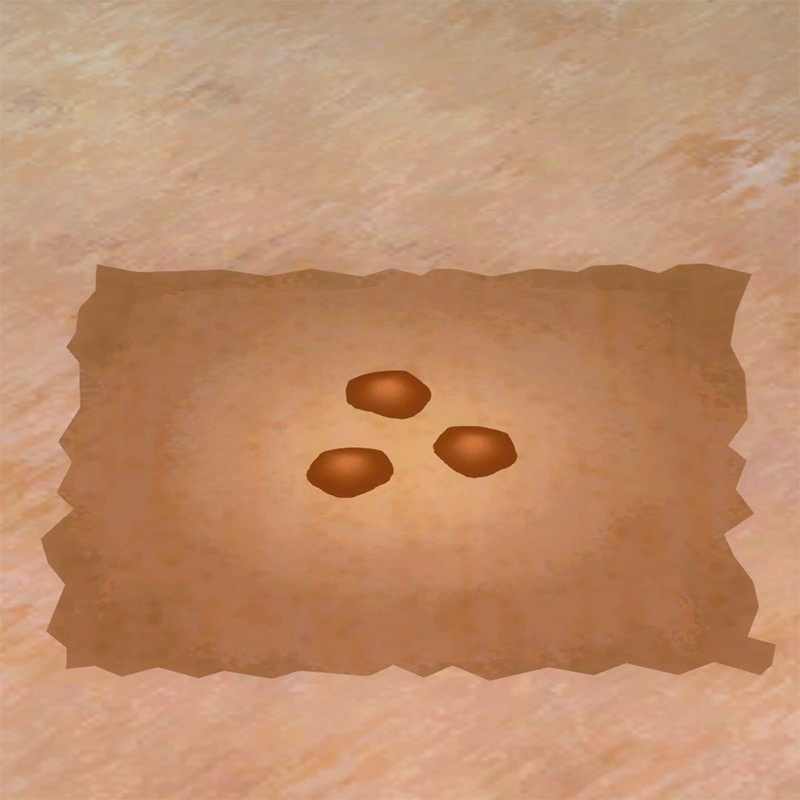 Cabbage seeds planted