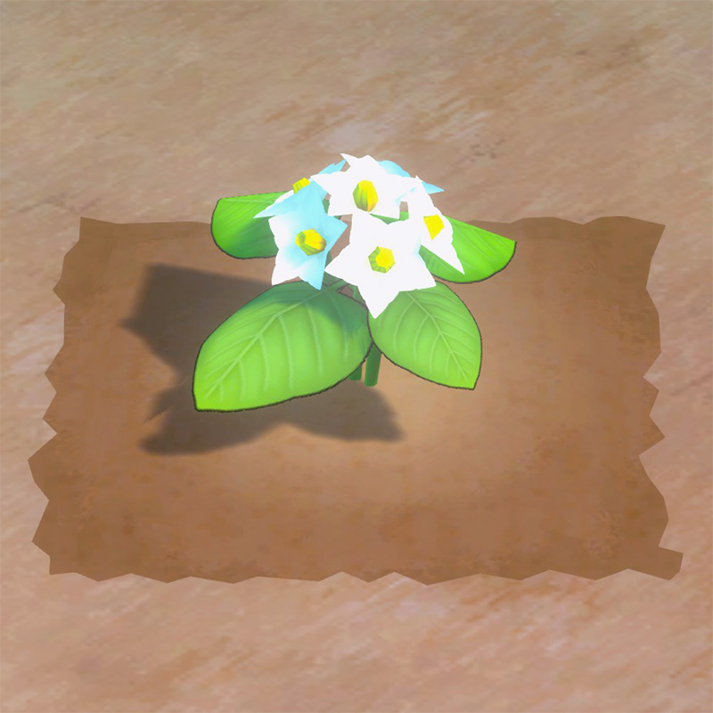 Potato growth phase 2