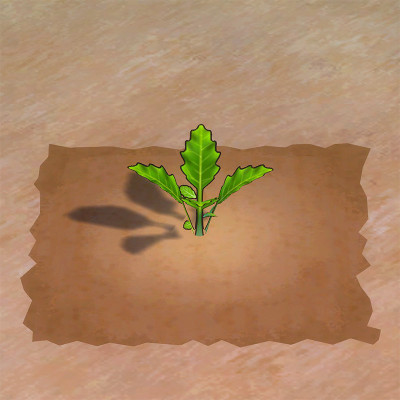Radish growth phase 1