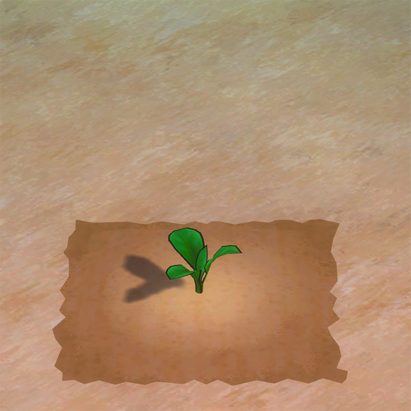 Soybean growth phase 1