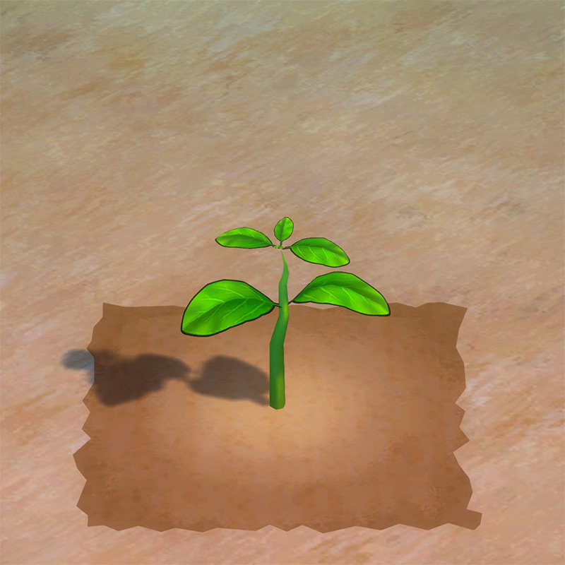 Soybean growth phase 2