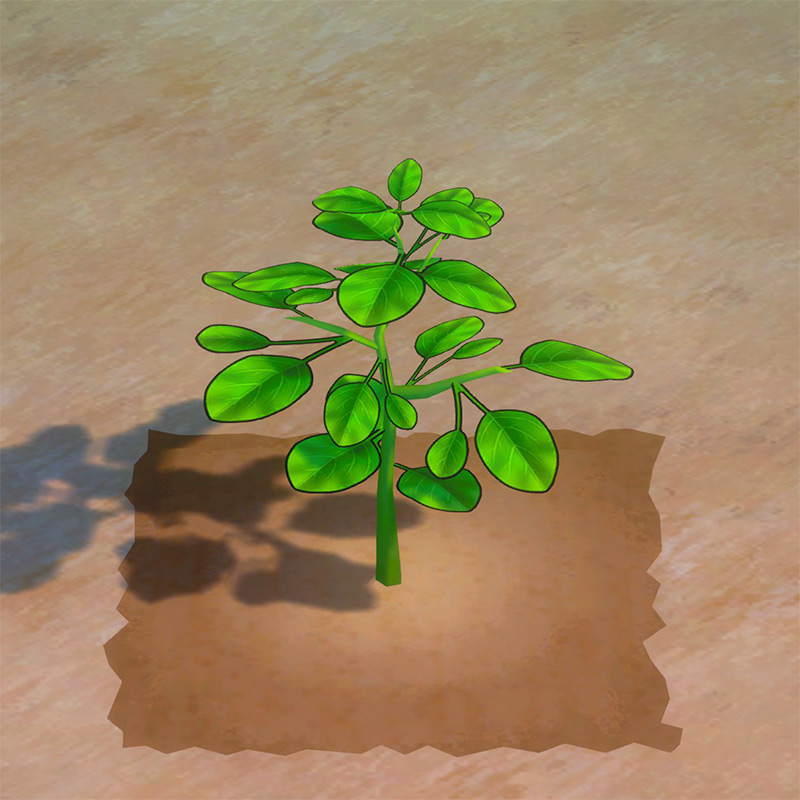 Soybean growth phase 3