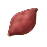 Sweet Potato