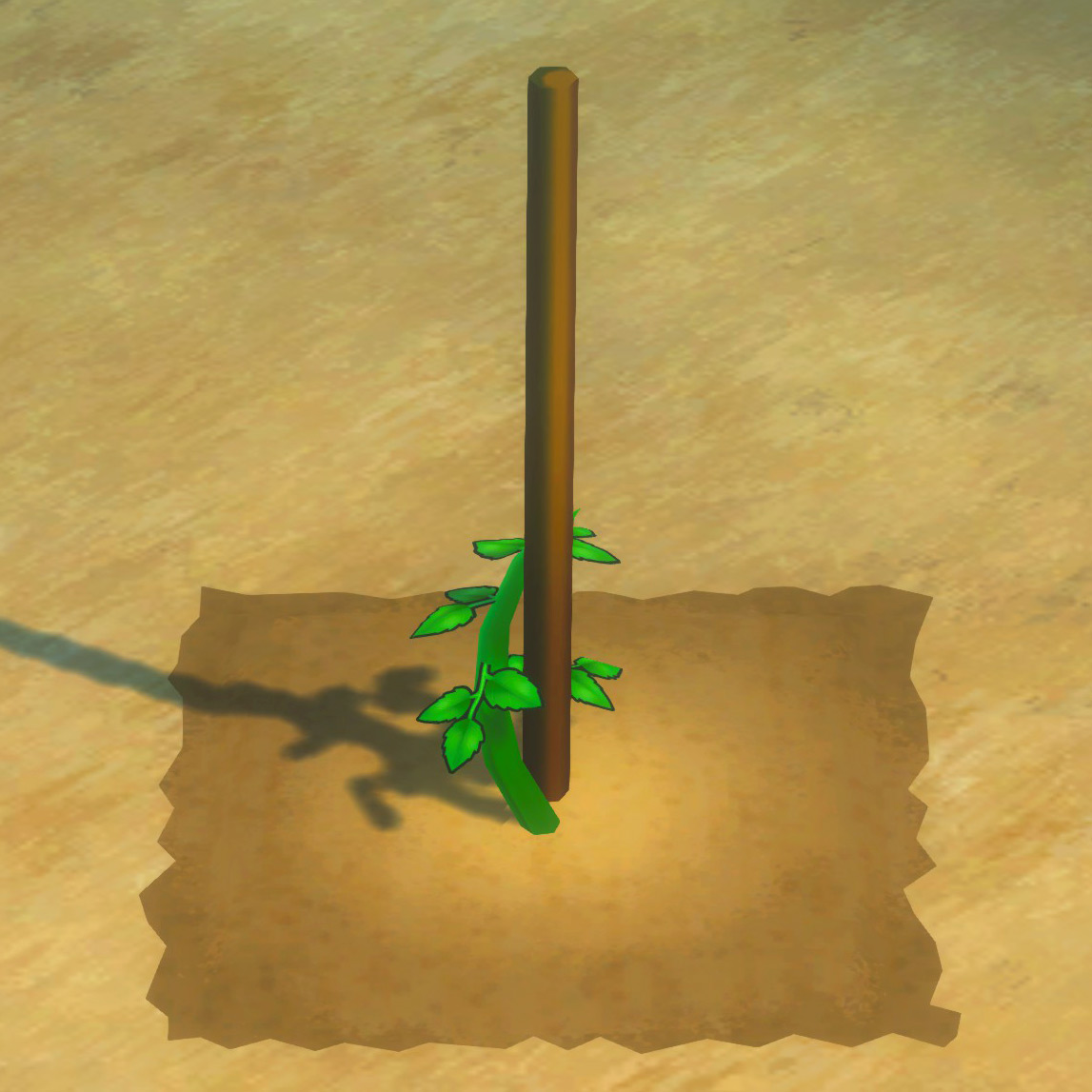 Tomato growth phase 1