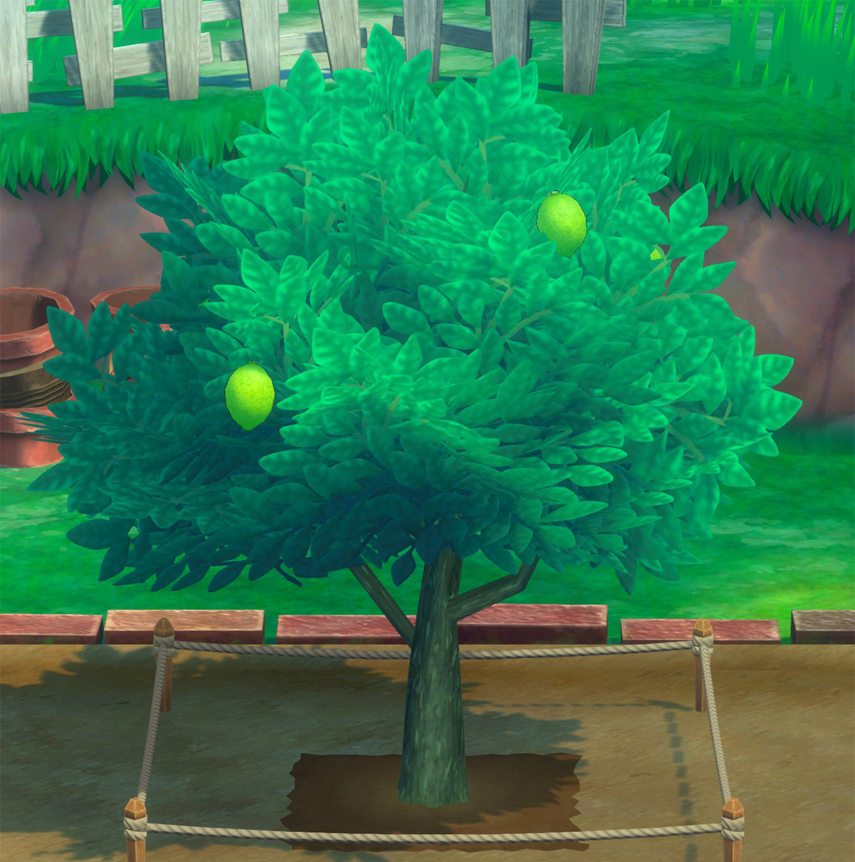 Lemon small fruit phase