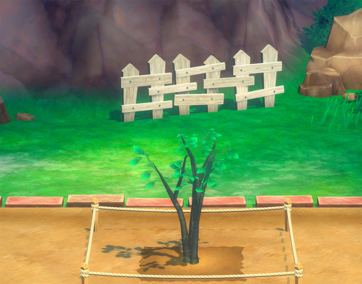 Peach small tree phase