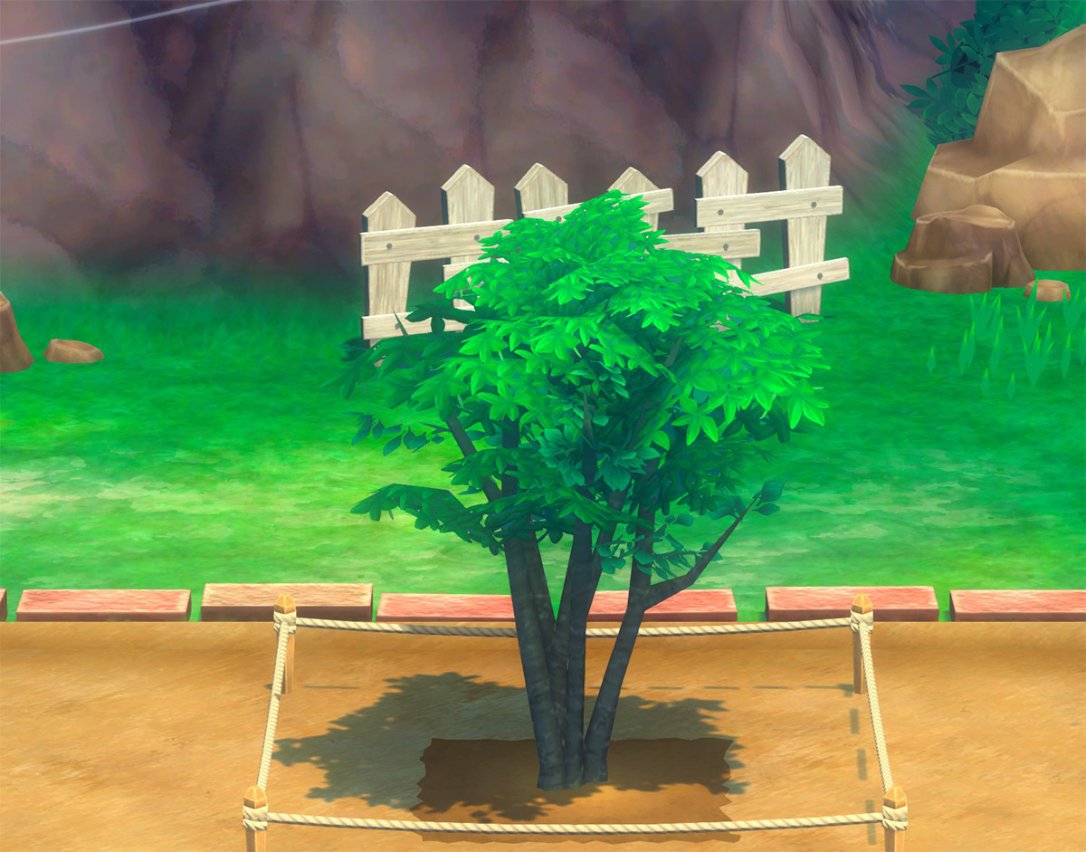 Peach medium tree phase