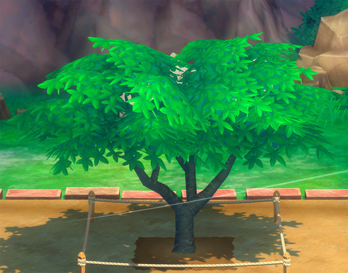 Peach large tree phase