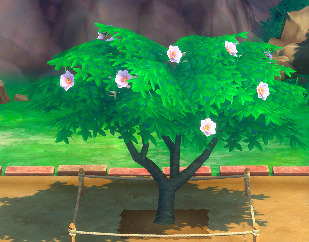 Peach flower phase