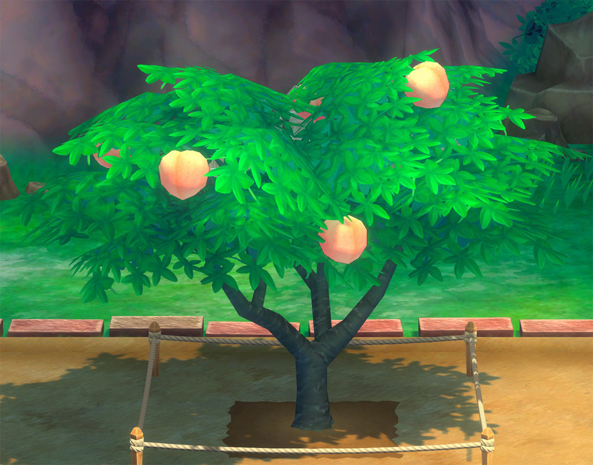 Peach ready to harvest