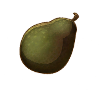 Giant Avocado