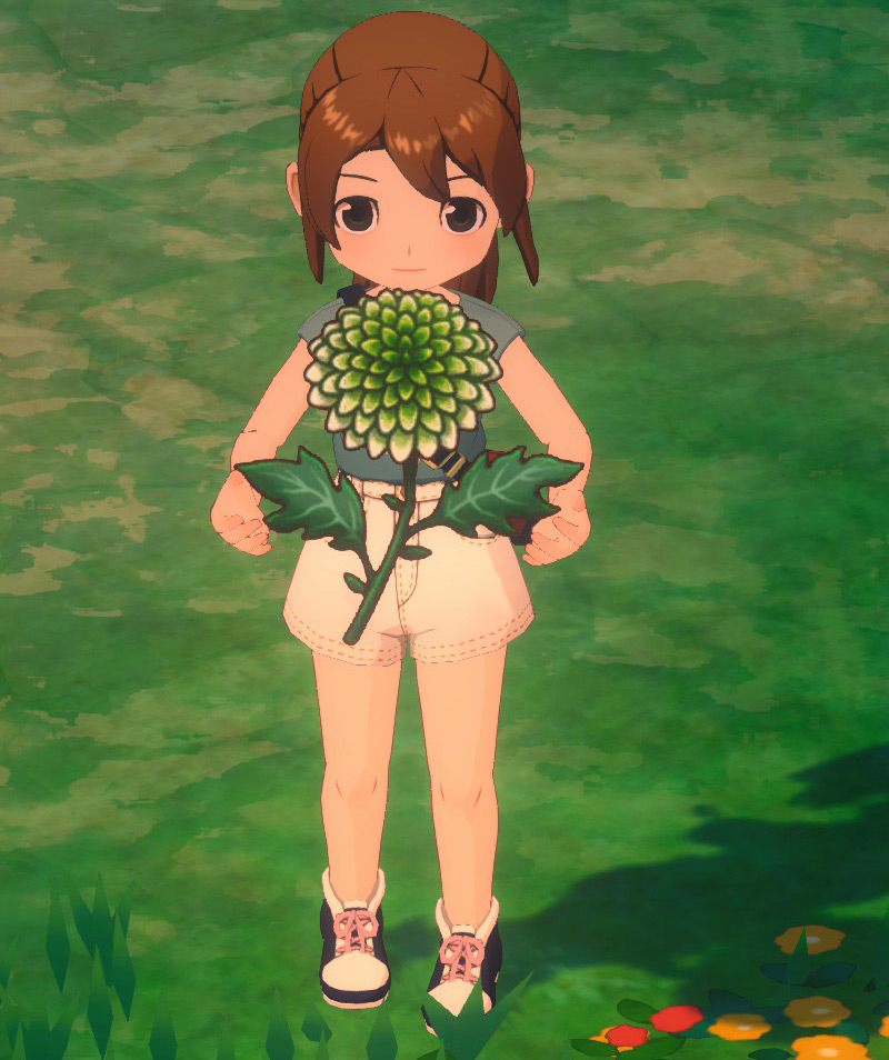 Chrysanthemum in-game