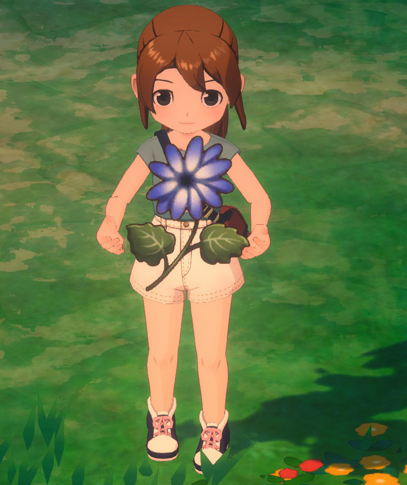 Cineraria in-game