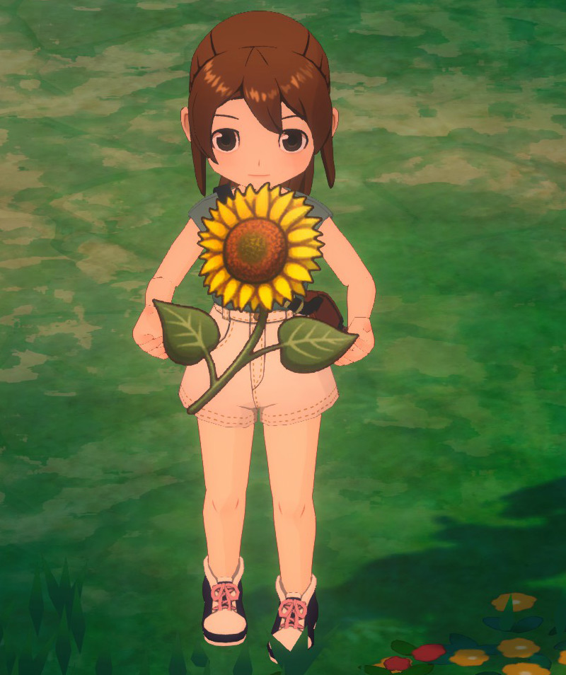 Sunflower in-game