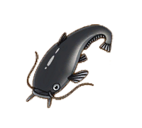 Catfish