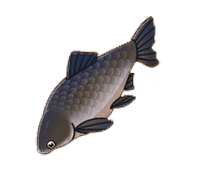 Black Carp
