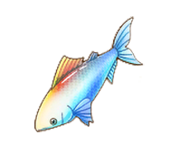 Shining Fish