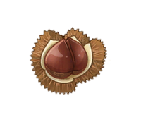 Chestnut