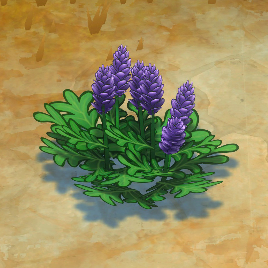 Lavender growing in the wild