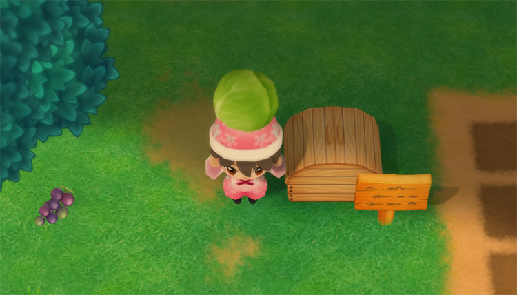 Holding a Cabbage by the Shipping Bin