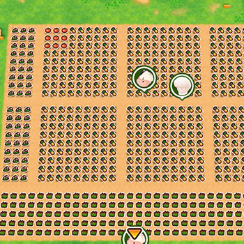 Best Field Layouts