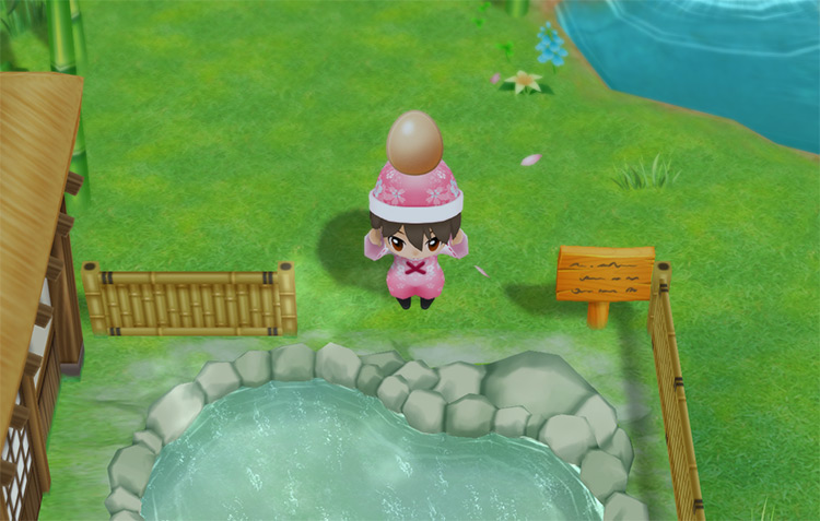 The farmer throws an egg into the Hot Spring to make a Hot Spring Egg.