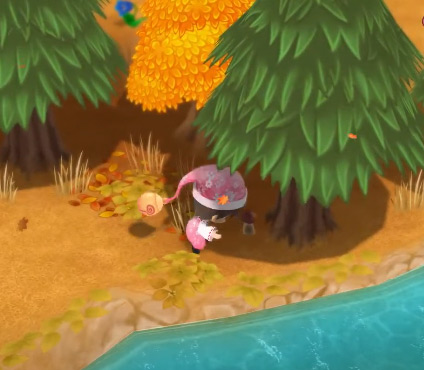 The farmer picks up a Matsutake mushroom.