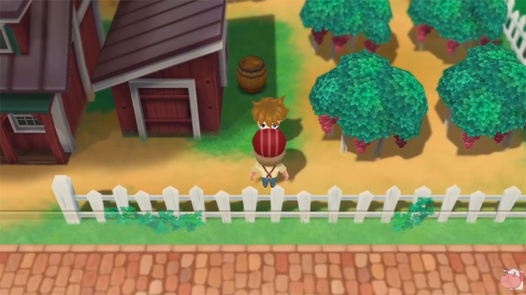 Cliff works at the Adge Winery orchard with Duke.