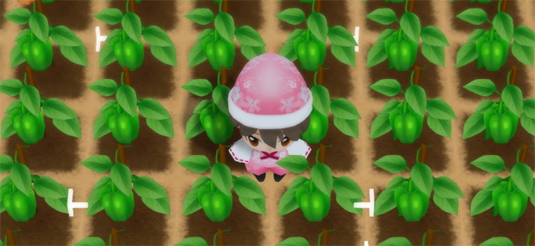 The farmer harvests Green Peppers / SoS: FoMT