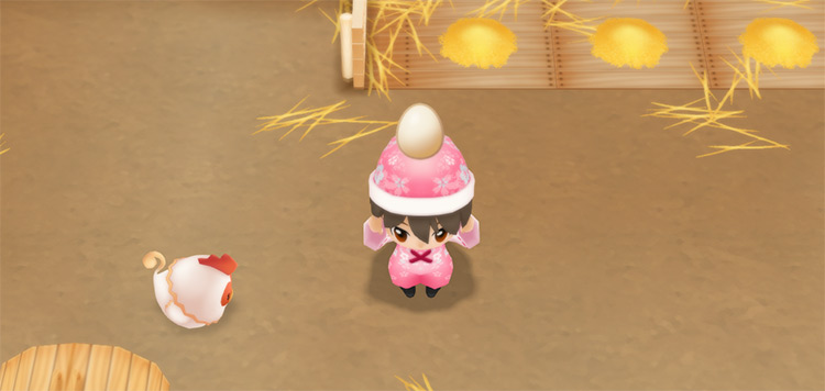 The farmer harvests eggs in the Coop.