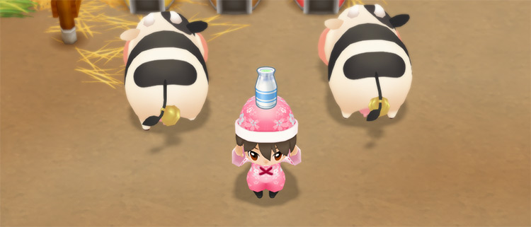 The farmer harvests Milk from a cow.