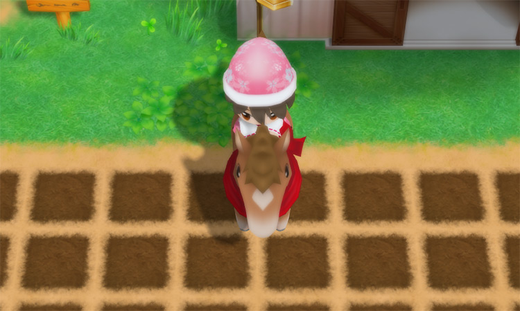 The farmer rides an adult horse.