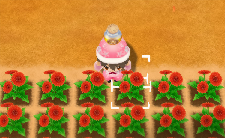 The farmer holds up a jar of Honey next to a field of Sunsweet Flowers.