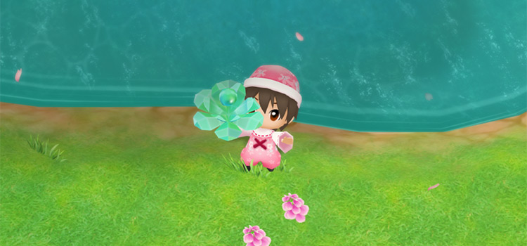 Using the Kappa Treasure