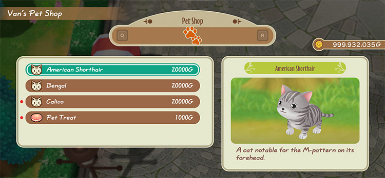 Interface of Van’s Pet Shop