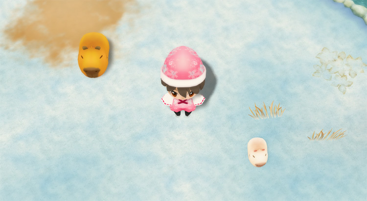 The farmer stands next to a baby and adult Capybara