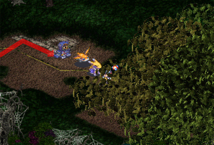 The path covered in trees. / Digimon World 3
