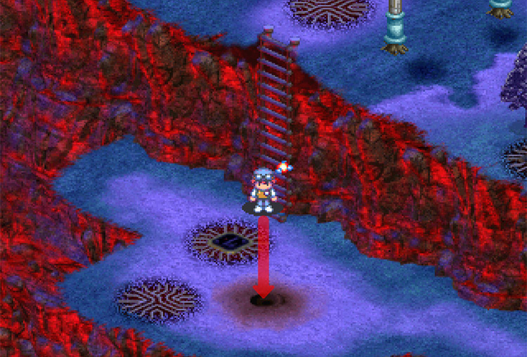 Walking to the hole to call Digmon. / Digimon World 3